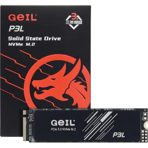 SSD GeIL <P3LFD16I256G>