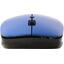   Gembird Wireless Optical Mouse MUSW-250-2 (USB 2.0, 3btn, 1600 dpi),  