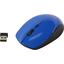   Gembird Wireless Optical Mouse MUSW-250-2 (USB 2.0, 3btn, 1600 dpi),  