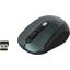  Gembird Wireless Optical Mouse MUSW-420-2 (USB 2.0, 4btn, 1600 dpi),  