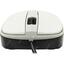   Genius Mouse DX-120 (USB 2.0, 3btn, 1000 dpi),  