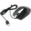   Genius Mouse DX-180 (USB 2.0, 3btn, 1600 dpi),  