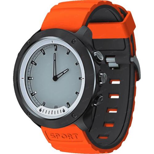 Часы GEOZON G-SM03SVR