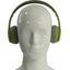 Наушники с микрофоном HARPER HB-212 Green Green, вид спереди