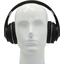 Наушники с микрофоном HARPER HB-413 Black, вид спереди