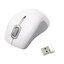 Беспроводная Мышь HP Wireless Comfort Mobile NK526AA (USB 1.1, 5btn,, вид основной