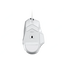 вид снизу