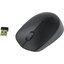   Logitech Wireless Mouse M171 (USB 2.0, 3btn, 1000 dpi),  