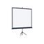   , /  82" (208 ) Lumien Eco View LEV-100106 1:1 Matte White,  