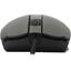 Проводная Мышь MSI Clutch Lightweight GM41 (USB 2.0, 6btn, 16000 dpi), вид спереди