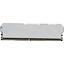 Модуль памяти Netac Shadow <NTSSD4P32SP-08W>, вид сверху
