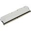 Модуль памяти Netac Shadow <NTSSD4P32SP-08W>, вид основной