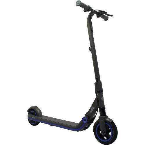 Электросамокат Ninebot By Segway eKickScooter Zing E10