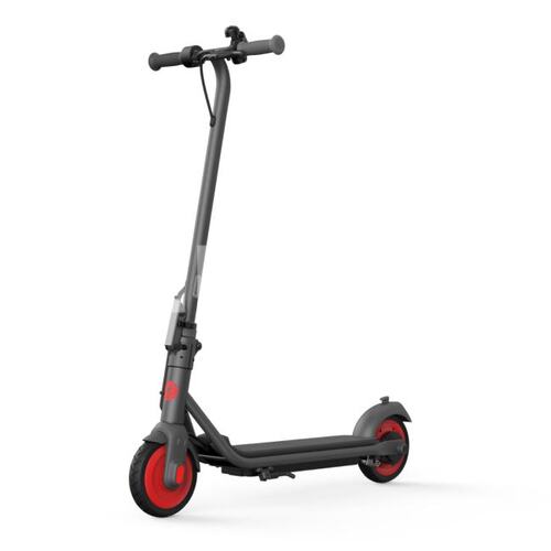 Электросамокат Ninebot By Segway KickScooter C20
