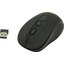   OKLICK Wireless Optical Mouse 1025079 (USB 2.0, 4btn, 1600 dpi),  