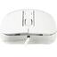 Проводная Мышь OKLICK Optical Mouse 310M (USB, 4btn, 2400 dpi), вид спереди