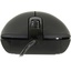 Проводная Мышь OKLICK Optical Mouse 375M (USB 2.0, 3btn, 1000 dpi), вид спереди