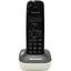  DECT  DECT Panasonic KX-TG1611RUW ,  