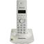  DECT  DECT Panasonic KX-TG1711RUW ,  