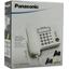   Panasonic KX-TS2352RUB ,  