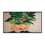 43" (109.2 см) Philips 43BDL4550D/00, вид спереди