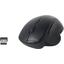 Беспроводная Мышь Philips SPK7624B/60 (USB, 6btn, 1600 dpi), вид основной