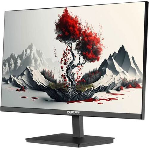23.8" (60.5 см) RDW Computers RDW2401K