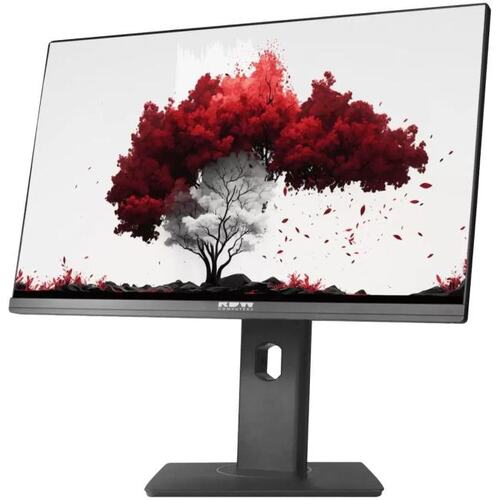 23.8" (60.5 см) RDW Computers RDW2402K