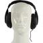 Наушники Ritmix RH-524 Black, вид спереди
