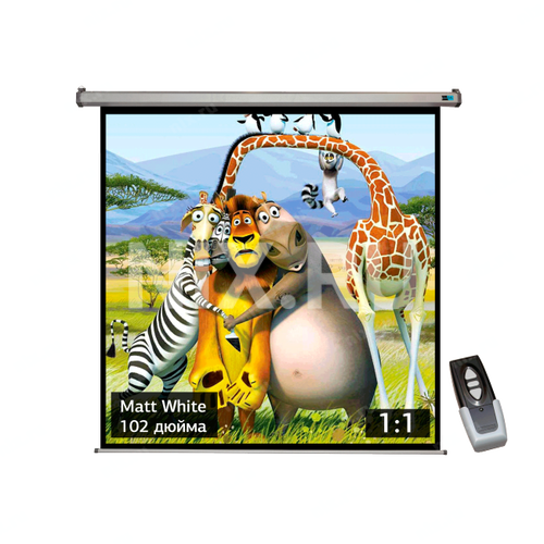 Экран Cinema S'OK SCPSM-183x183-GR 102'' 1:1 настенно-потолочный, мотор., Matt White, серый корпус