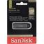 SanDisk Extreme Go SDCZ810-256G-G46 USB 256 ,  