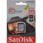   SanDisk Ultra SDSDUN4-256G-GN6IN SDXC UHS-I Class 1 (U1), Class 10 256 ,  