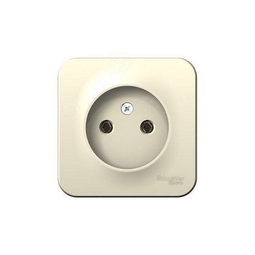 Розетка силовая Schneider Electric Blanca BLNRA000112