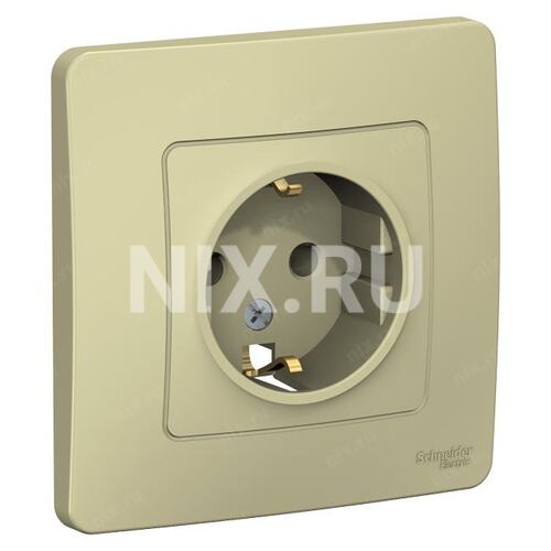 Розетка силовая Schneider Electric Blanca BLNRS001017