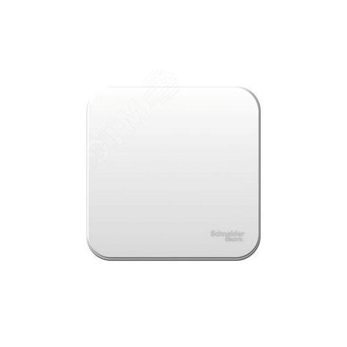 Выключатель Systeme Electric BLNVA061021 1-клавишный 6А, 250В, монтажная пластина (белый) наруж