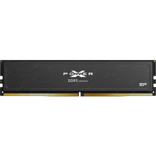 Модуль памяти Silicon Power Xpower Pulse <SP032GXLWU60BFSJ> DDR5 1x 32 Гб <PC5-48000>