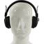 Наушники с микрофоном SVEN AP-B370MV Black, вид спереди