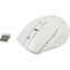 Беспроводная Мышь SVEN RX-425W White (USB, 6btn, 1600 dpi), вид основной