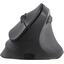 Беспроводная Мышь SVEN Wireless Optical Mouse RX-550SW Black (USB 2.0, 6btn, 2400 dpi), вид спереди