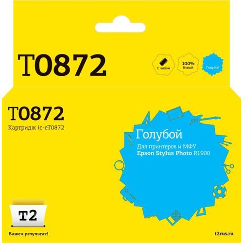 T2 T08704210