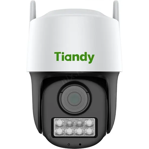Цветная IP-камера TIANDY TC-H333N I5W
