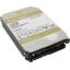   3.5" Western Digital Gold 12  WD121KRYZ,  