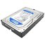 Жесткий диск 3.5" Western Digital Caviar Blue 320 Гб WD3200AAKS 320 Гб SATA-II, вид основной