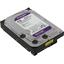   3.5" Western Digital Purple 4  WD42PURZ SATA 6Gb/s (SATA-III),  