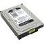Жесткий диск 3.5" Western Digital Black 500 Гб WD5003AZEX SATA 6Gb/s (SATA-III), вид основной