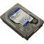 Жесткий диск 3.5" Western Digital Blue 8 Тб WD80EAZZ SATA 6Gb/s (SATA-III), вид основной