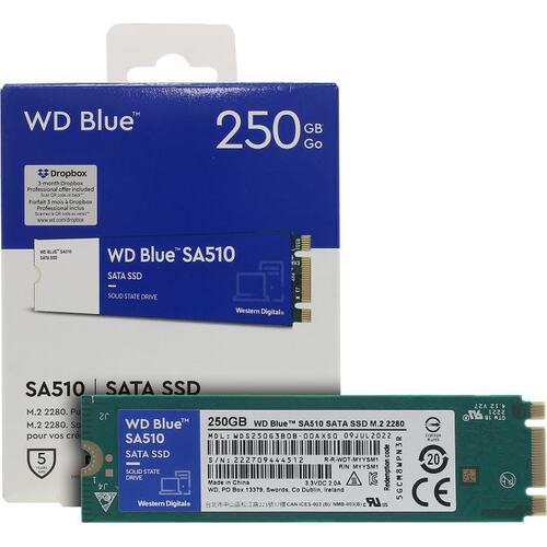 SSD Western Digital Blue SA510 <WDS250G3B0B> (250 Гб, M.2, M.2 SATA, 3D TLC (Triple Level Cell)) — купить, цена и характеристики, отзывы