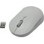   Xiaomi Mi Dual Mode Wireless Mouse Silent Edition (USB 2.0, 6btn, 1300 dpi),  